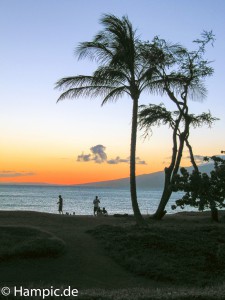 Hawaii-4