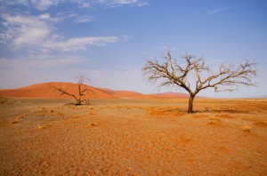 Namibia Pic 200