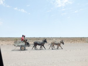 Namibia Pic 272
