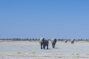 Namibia Pic 65