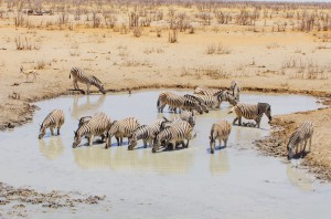 Namibia Pic 102