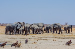 Namibia Pic 106