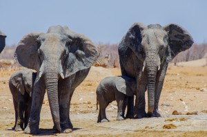 Namibia Pic 111