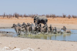 Namibia Pic 114