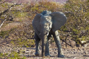 Namibia Pic 138