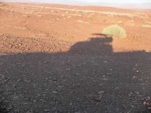 Namibia Pic 141