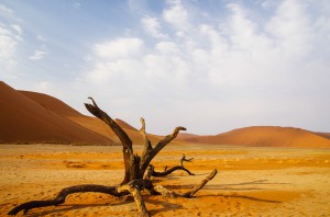 Namibia Pic 196