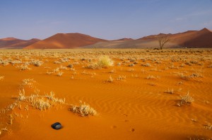 Namibia Pic 197