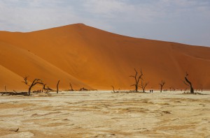 Namibia Pic 207