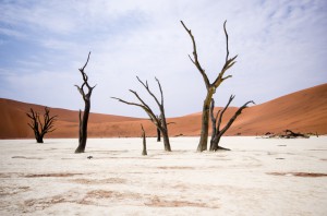 Namibia Pic 208