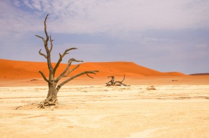 Namibia Pic 212