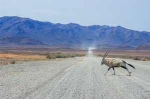 Namibia Pic 222