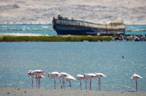 Namibia Pic 238