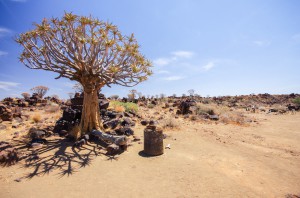 Namibia Pic 248