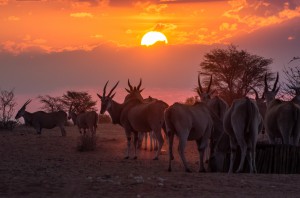 Namibia Pic 269