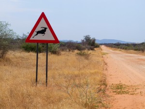 Namibia Pic 30