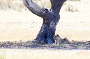 Namibia Pic 76