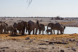 Namibia Pic 82