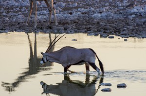 Namibia Pic 85