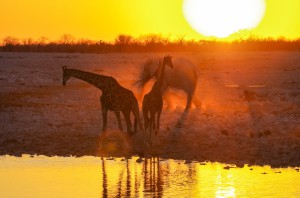 Namibia Pic 87