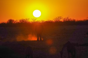 Namibia Pic 88