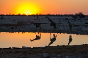 Namibia Pic 89