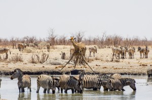 Namibia Pic 95