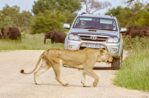 Southafrica-31