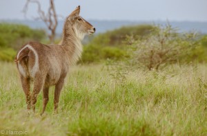 Southafrica-36