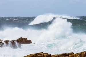 Southafrica-80